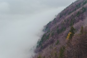 星欧娱乐在人工智能计算领域的独特发展与应用前景